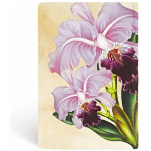 Paperblanks Hardcover Notizbuch Brasilianische Orchidee Mini UNL