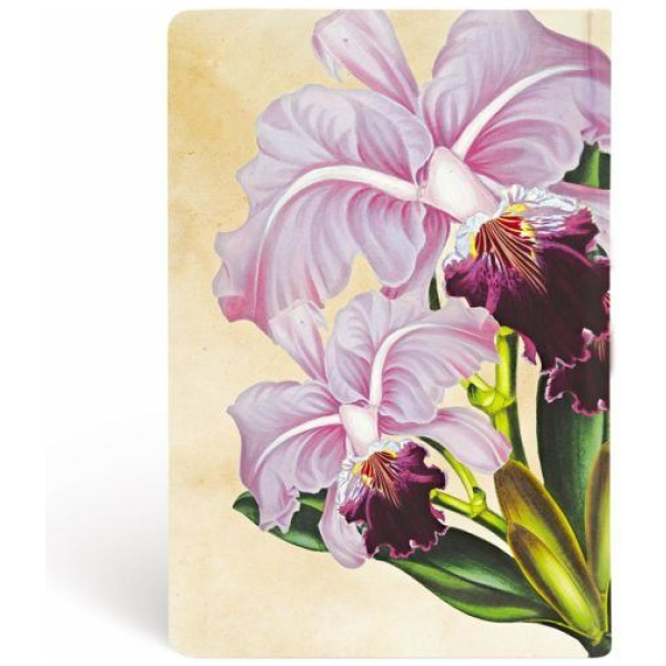 Paperblanks Hardcover Notizbuch Brasilianische Orchidee Mini UNL