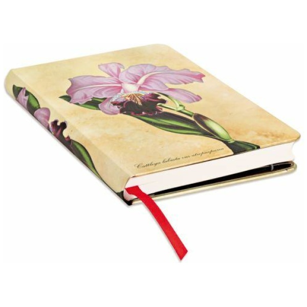Paperblanks Hardcover Notizbuch Brasilianische Orchidee Mini UNL
