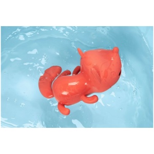 Schwimm-Füchsin Alice