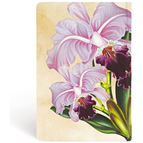 Paperblanks Hardcover Notizbuch Brasilianische Orchidee Mini UNL