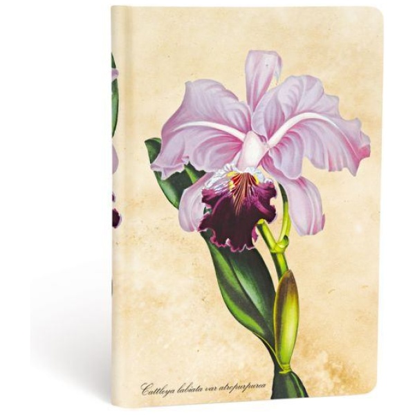 Paperblanks Hardcover Notizbuch Brasilianische Orchidee Mini UNL