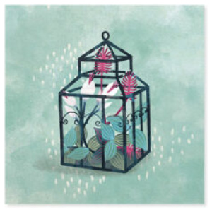 Orchid Terrarium
