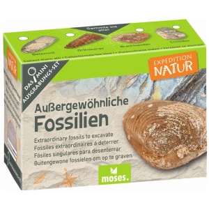 Expedition Natur Mini-Ausgrabungssets
