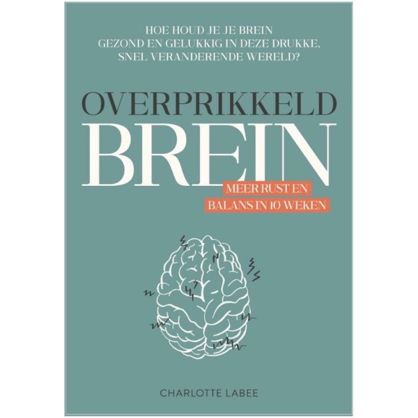 Charlotte Labee: Overprikkeld brein