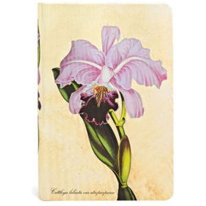Paperblanks Hardcover Notizbuch Brasilianische Orchidee Mini UNL