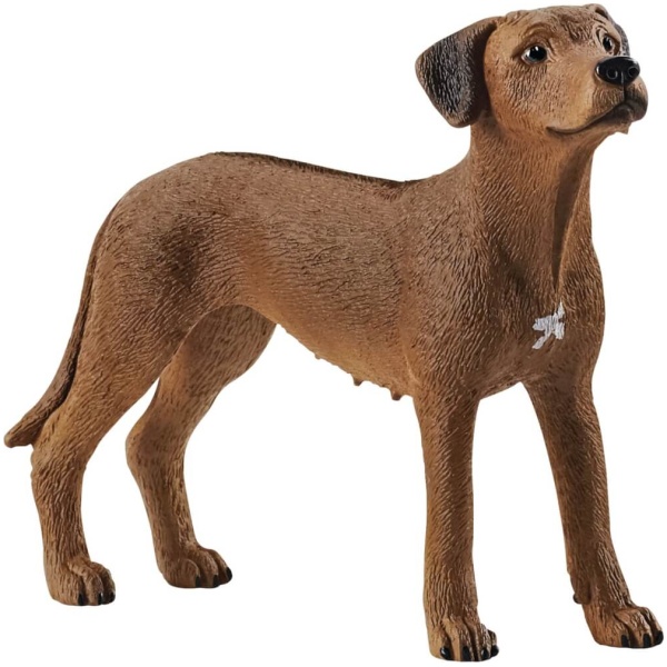 schleich® Farm World 13895 Rhodesian Ridgeback