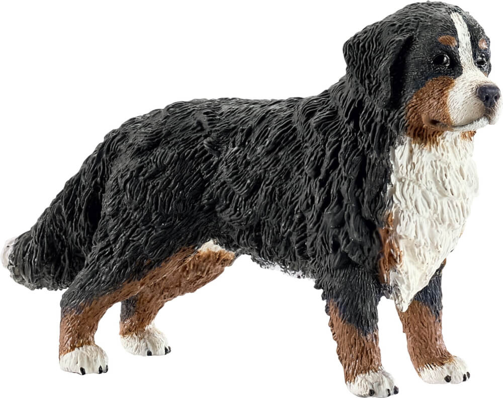 schleich® Farm World Hunde - 16397 Berner Sennenhündin, ab 3 Jahre schleich® Farm World Hunde - 16397 Berner Sennenhündin, ab 3 Jahre