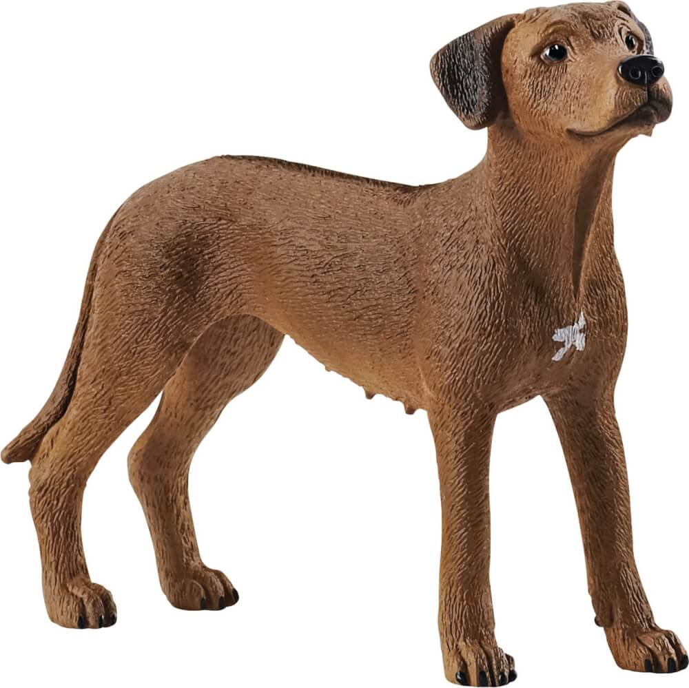 schleich® Farm World 13895 Rhodesian Ridgeback schleich® Farm World 13895 Rhodesian Ridgeback
