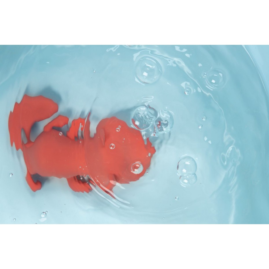 Schwimm-Füchsin Alice Schwimm-Füchsin Alice