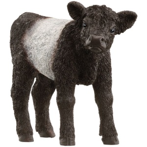 schleich® FARM WORLD 13969 Galloway Kalb schleich® FARM WORLD 13969 Galloway Kalb