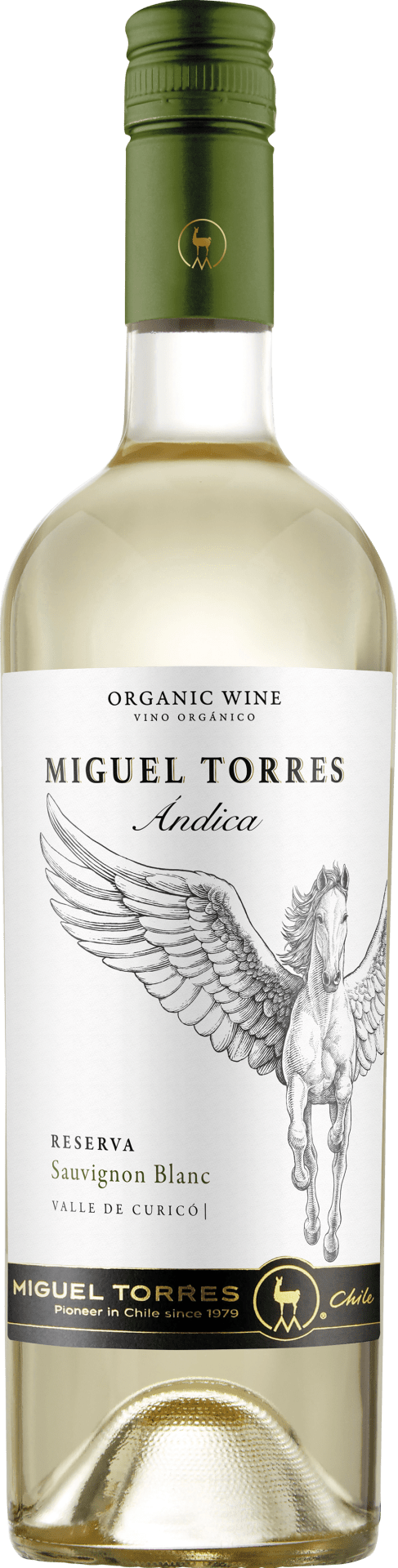 Miguel Torres Chile - Ándica Sauvignon Blanc Reserva Curicó Valley Miguel Torres Chile - Ándica Sauvignon Blanc Reserva Curicó Valley