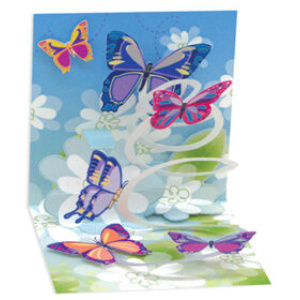 Butterflies Butterflies