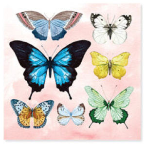 Watercolor butterflies Watercolor butterflies