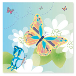 Butterflies Butterflies