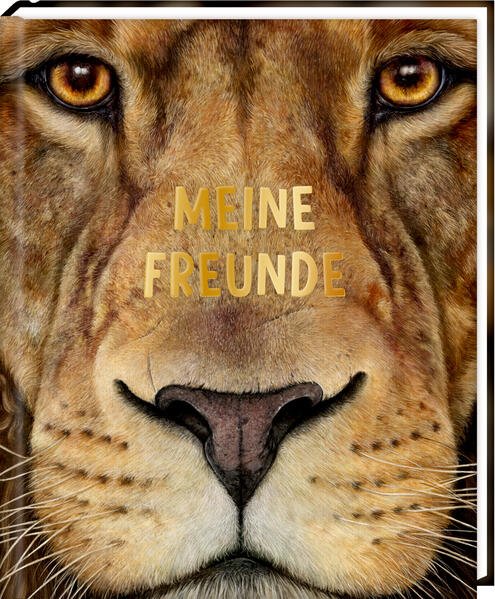 Freundebuch – Meine Freunde Freundebuch – Meine Freunde